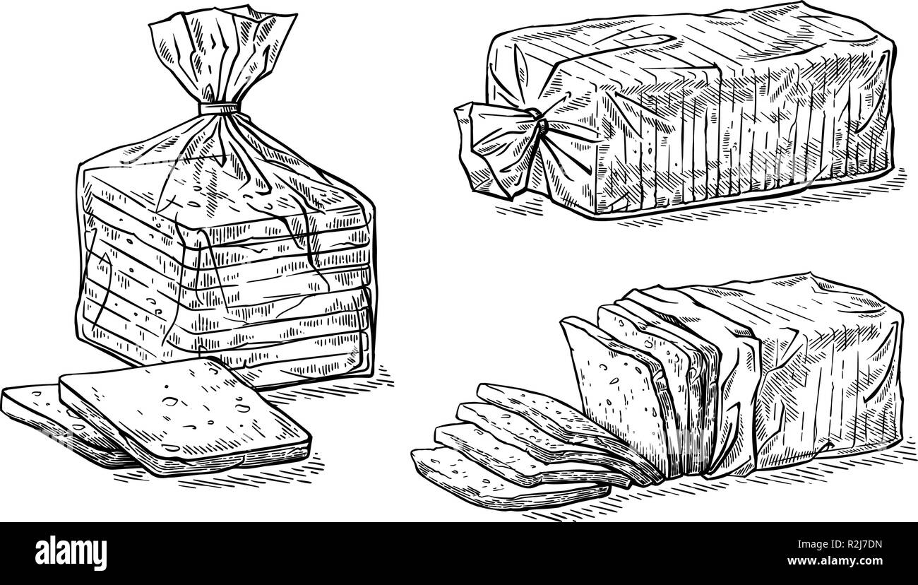 Collecte d'éléments naturels de tartines de pain et de paquet cellophane sketch vector illustration Illustration de Vecteur