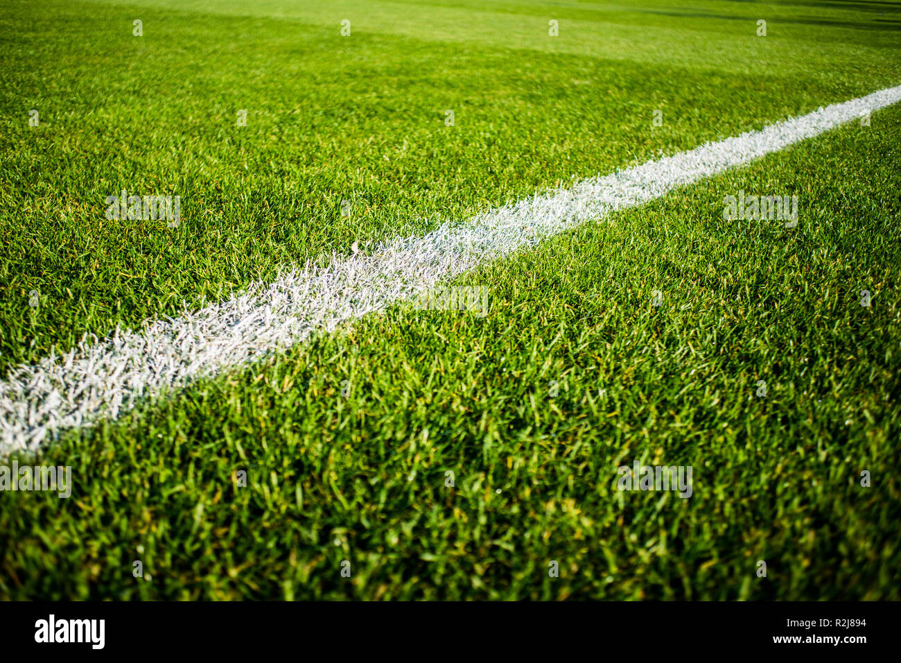 Lumineux vert gazon coloré du football stafium, Close up avec de belles rayures et effet bokeh Banque D'Images