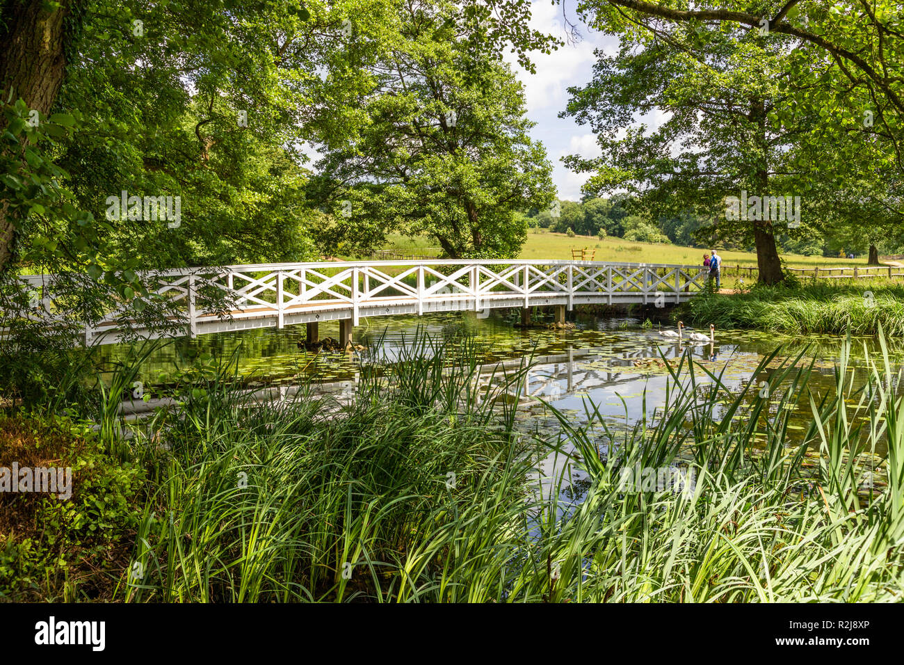 Le nouveau pont de chêne à Stowe Gardens, Buckinghamshire UK Banque D'Images