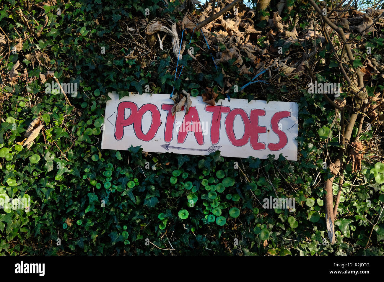 Un signe dans la campagne pour la vente de pommes de terre Banque D'Images