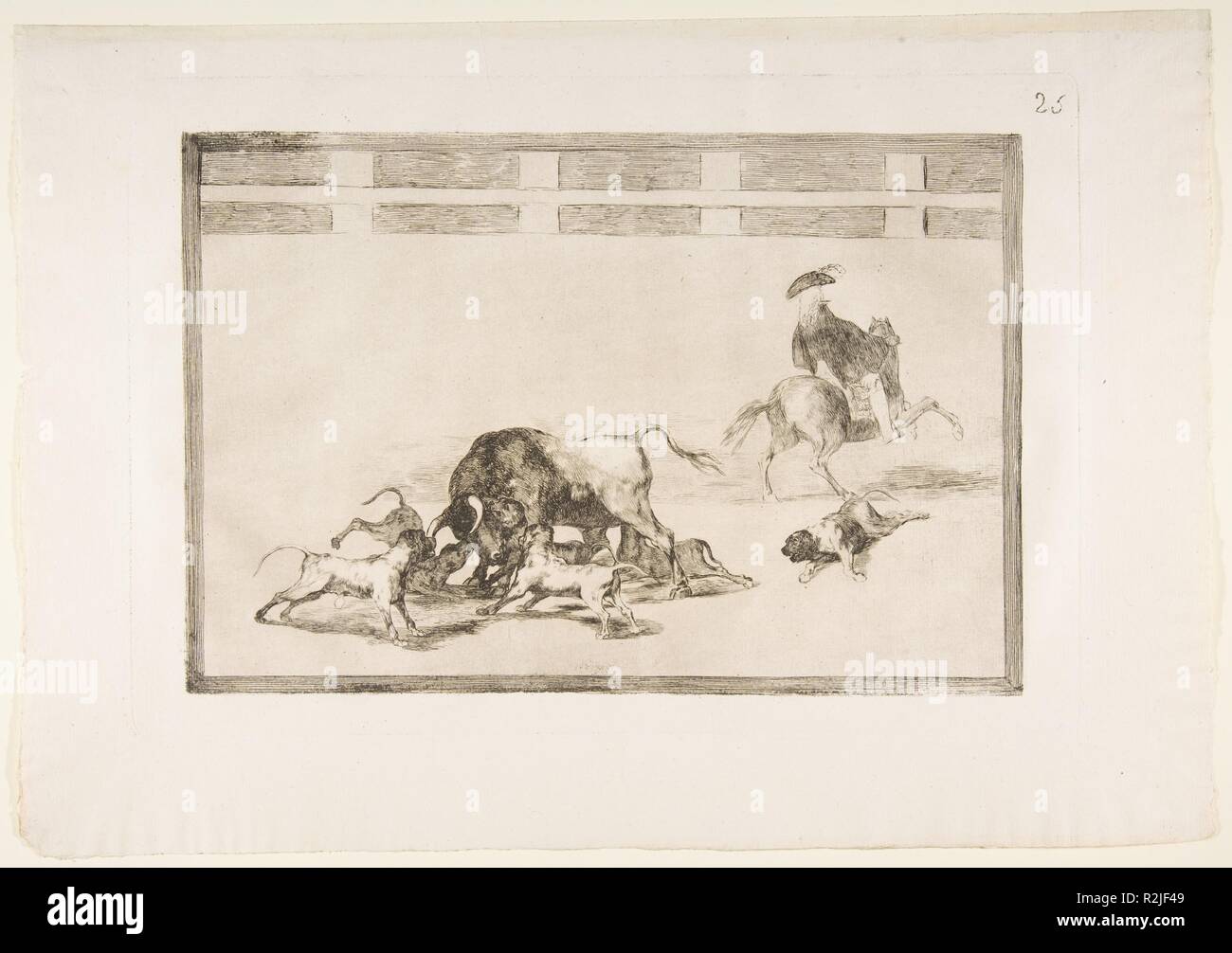 Planche 25 de la Tauromaquia':ils les chiens sur le taureau. Artiste : Goya (Francisco de Goya y Lucientes (Fuendetodos) espagnol, 1746-1828 Bordeaux). Dimensions : Plateau : 9 5/8 x 13 3/4 in. (24,4 × 35 cm) feuille : 12 in. × 17 5/16 in. (30,5 × 44 cm). Date : 1816. Musée : Metropolitan Museum of Art, New York, USA. Banque D'Images