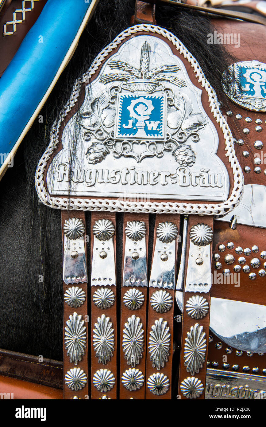 Le faisceau de l'entreprise cheval Augustiner Bräu lors de l'Oktoberfest, Munich, l'Oktoberfest Banque D'Images