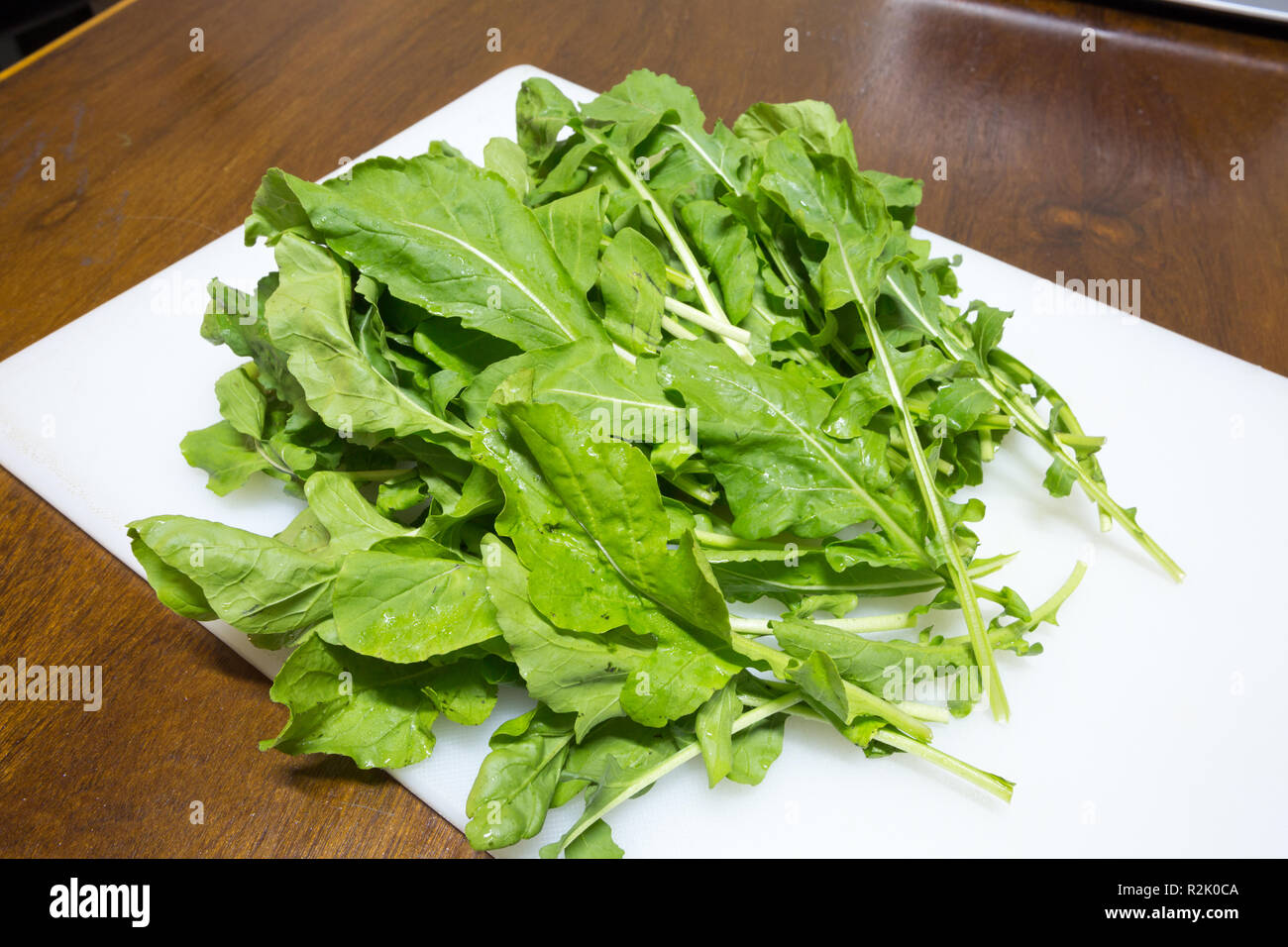 Roquette Eruca sativa (ou de lance-roquettes ; syns. Eruca vesicaria) légumes feuilles sur blanc découper, Asuncion, Paraguay Banque D'Images