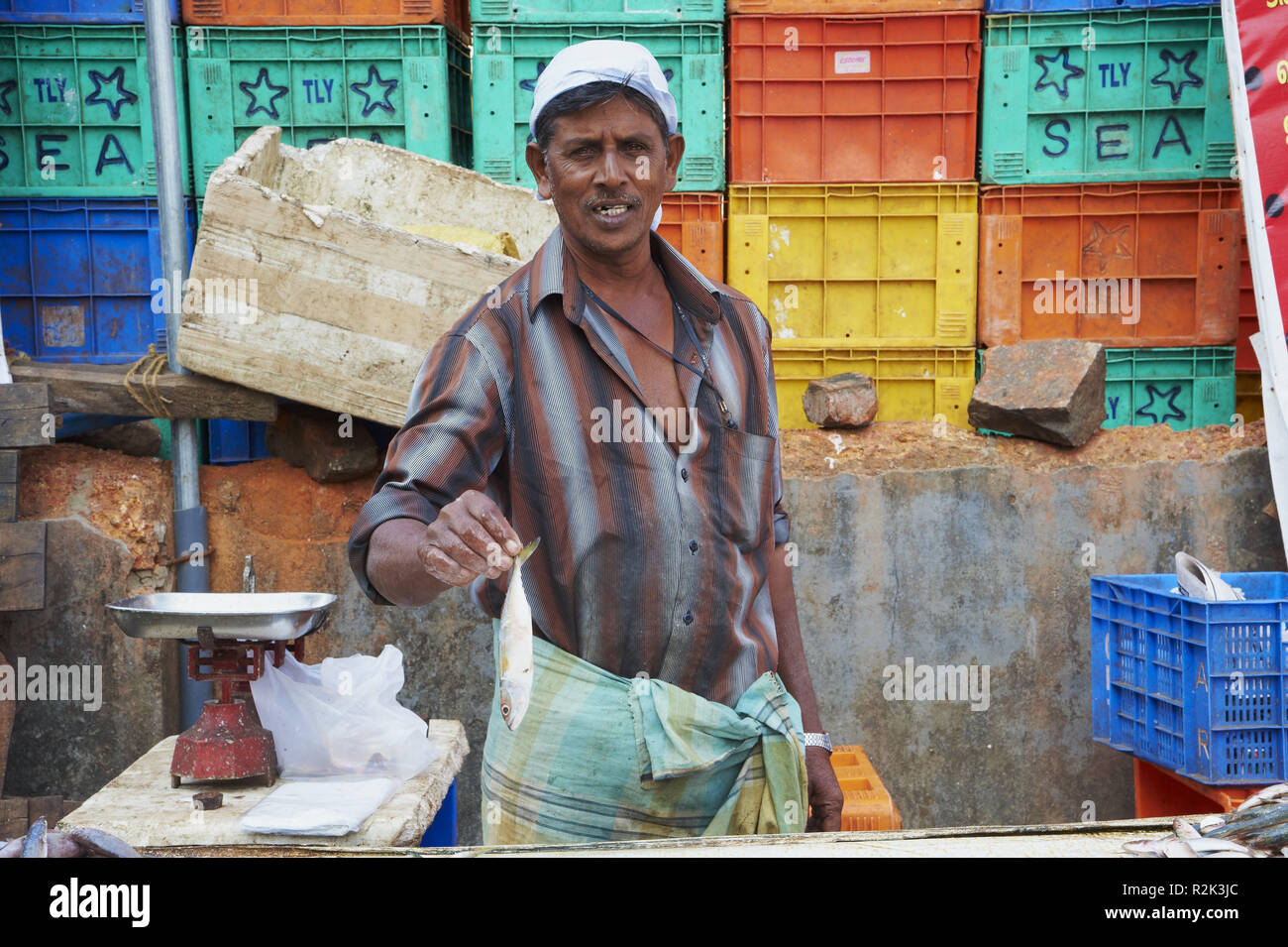 L'Inde, le Kerala, Kozhikode, scène de marché, vendeur, Banque D'Images