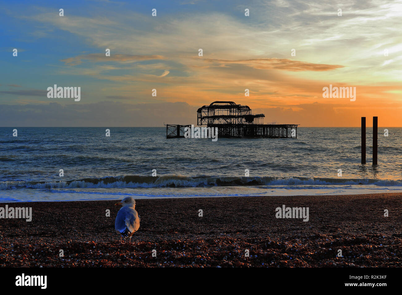 Coucher du soleil sur une plage de galets à Brighton, East Sussex, Royaume-Uni. Une mouette solitaire en face de l'acier de l'historique de Brighton West Pier. Banque D'Images