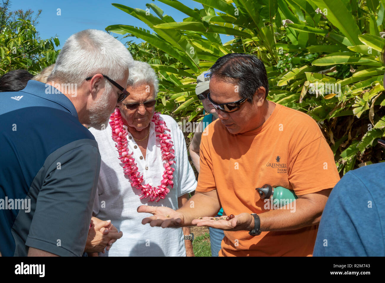 Hawaii - UN Kealakekua, tour guide parle aux visiteurs sur les grains de café qu'ils tour Greenwell Farms, un grand producteur de café de Kona. Banque D'Images