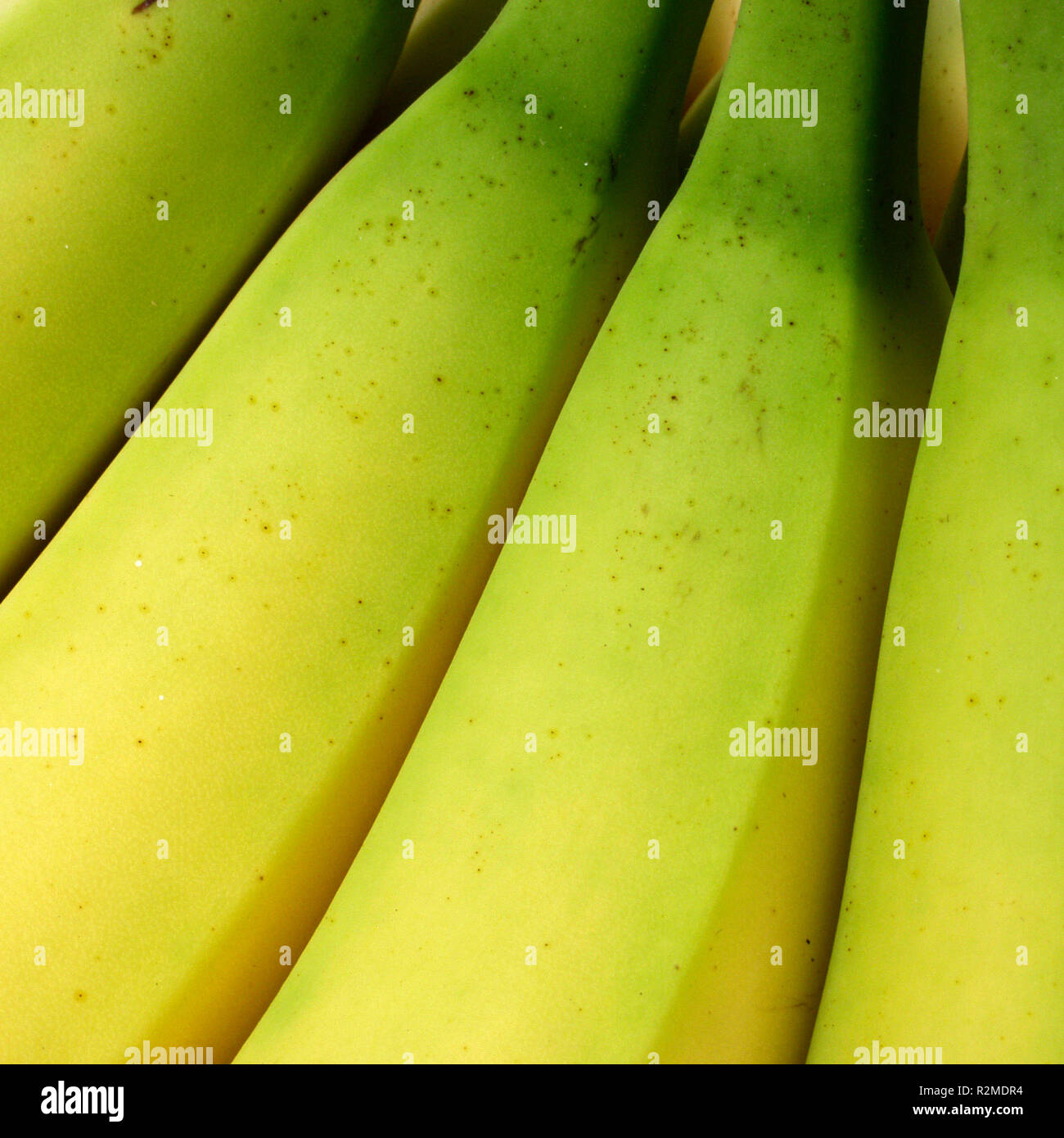 1 bananes Banque D'Images