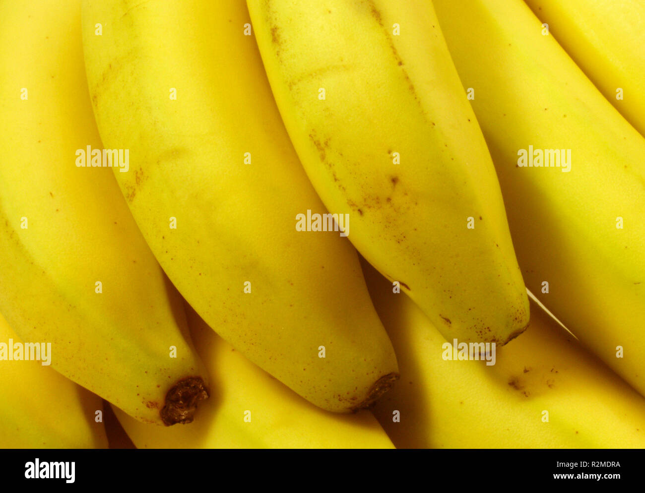 Bananas 2 Banque D'Images