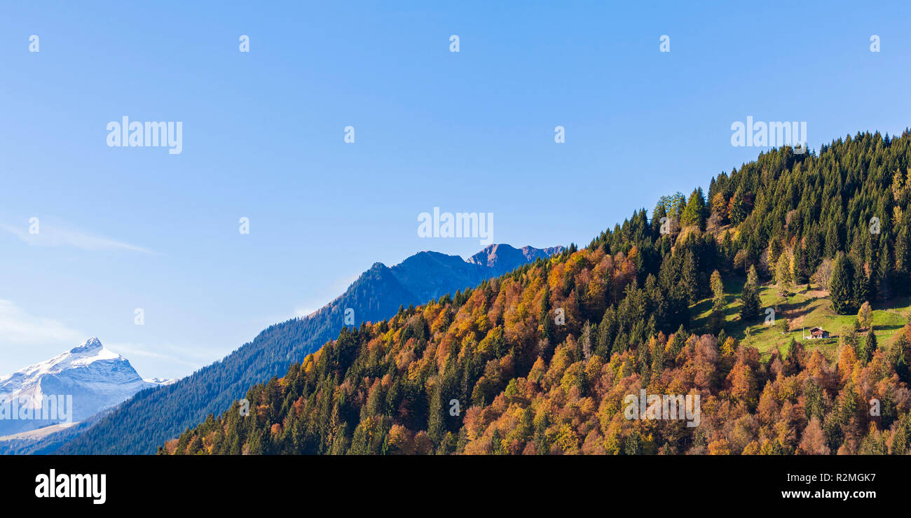 La Suisse, dans le canton de Berne, Oberland Bernois, Saanenland, Gstaad, forêt d'automne, ferme Banque D'Images
