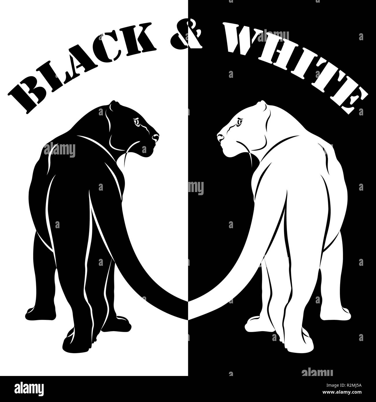 noir et blanc Banque D'Images
