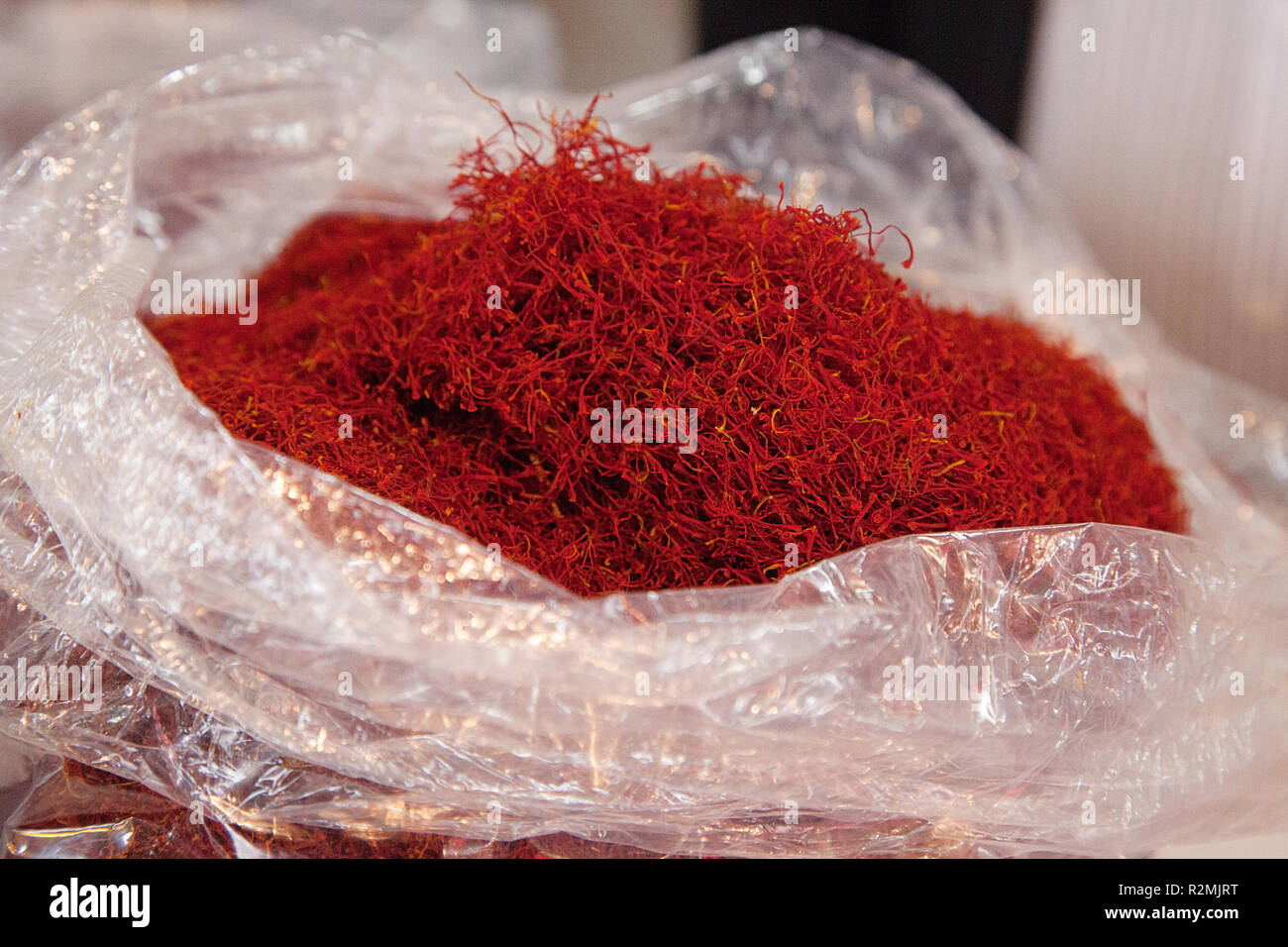 Le safran est l'épice la plus chère au monde, le plus grand exportateur mondial de safran est l'Iran, il produit d'excellente qualité, principales zones de culture du safran sont dans le nord-est de l'Iran, la province de Khorasan, et sera récolté par les agriculteurs de safran à partir de la mi-octobre, Banque D'Images