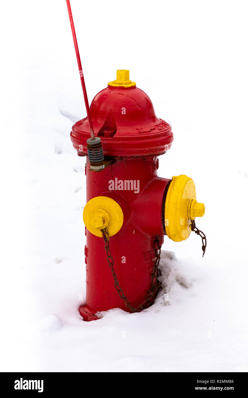 Une bouche d'incendie rouge et jaune dans la neige en spéculateur, NY USA Banque D'Images