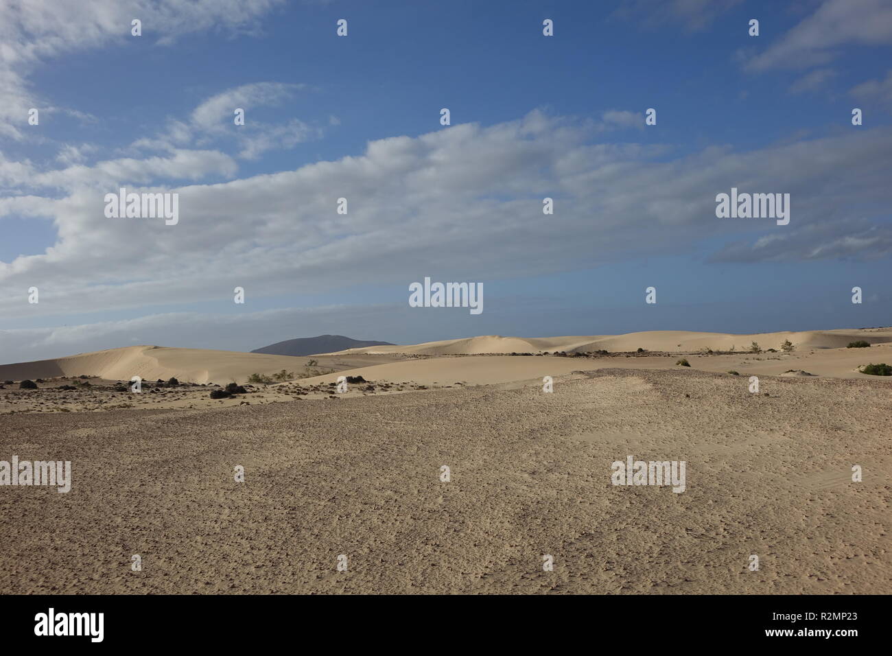 En fin d'après-midi, soleil bas, afficher les textures et les motifs dans le sable dans le parc naturel de Corralejo, Fuerteventura, Canary-Islands,,Espagne. Banque D'Images