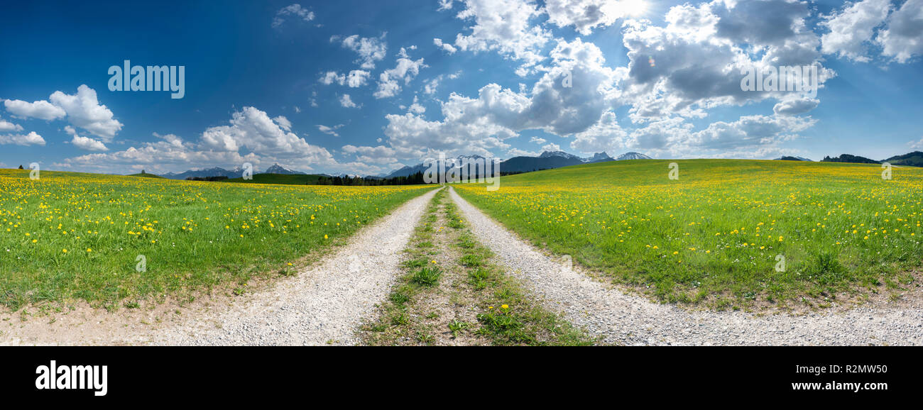 Paysage panoramique dans l'Allgäu près de Füssen avec trajectoire du champ et pré des fleurs au printemps Banque D'Images