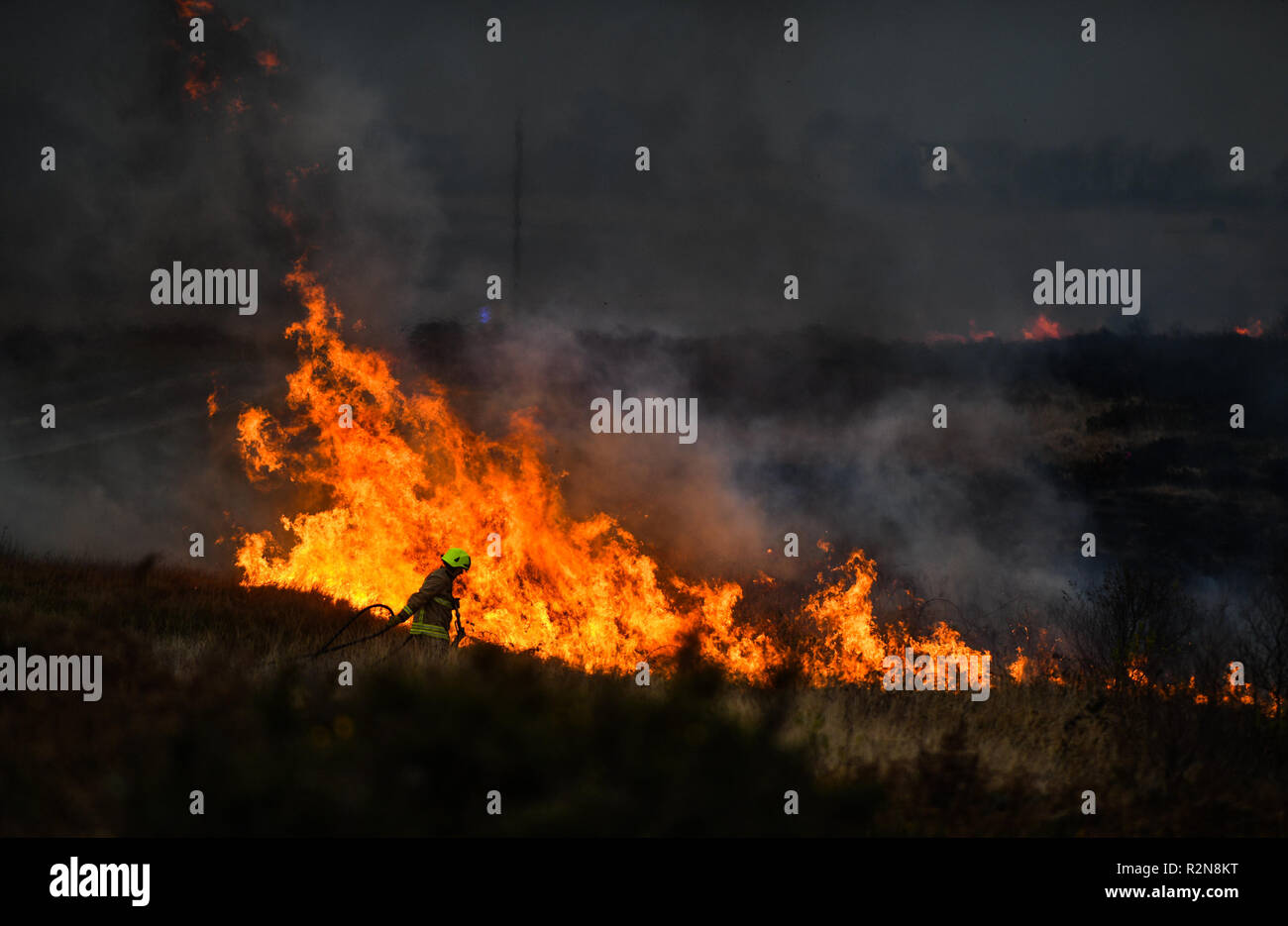 Gower, Swansea, Pays de Galles, Royaume-Uni. 20 novembre 2018. Un membre du service des incendies des montres, comme la tour de flammes sur lui, comme un feu d'herbe brûle sur la magnifique péninsule de Gower, près de Swansea, dans le sud du Pays de Galles. Le feu a pris place près de l'accueil de championnat de football, Swansea City FC, et a effectué autour de 8 hectares de terre, crédit : Robert Melen/Alamy Live News Banque D'Images