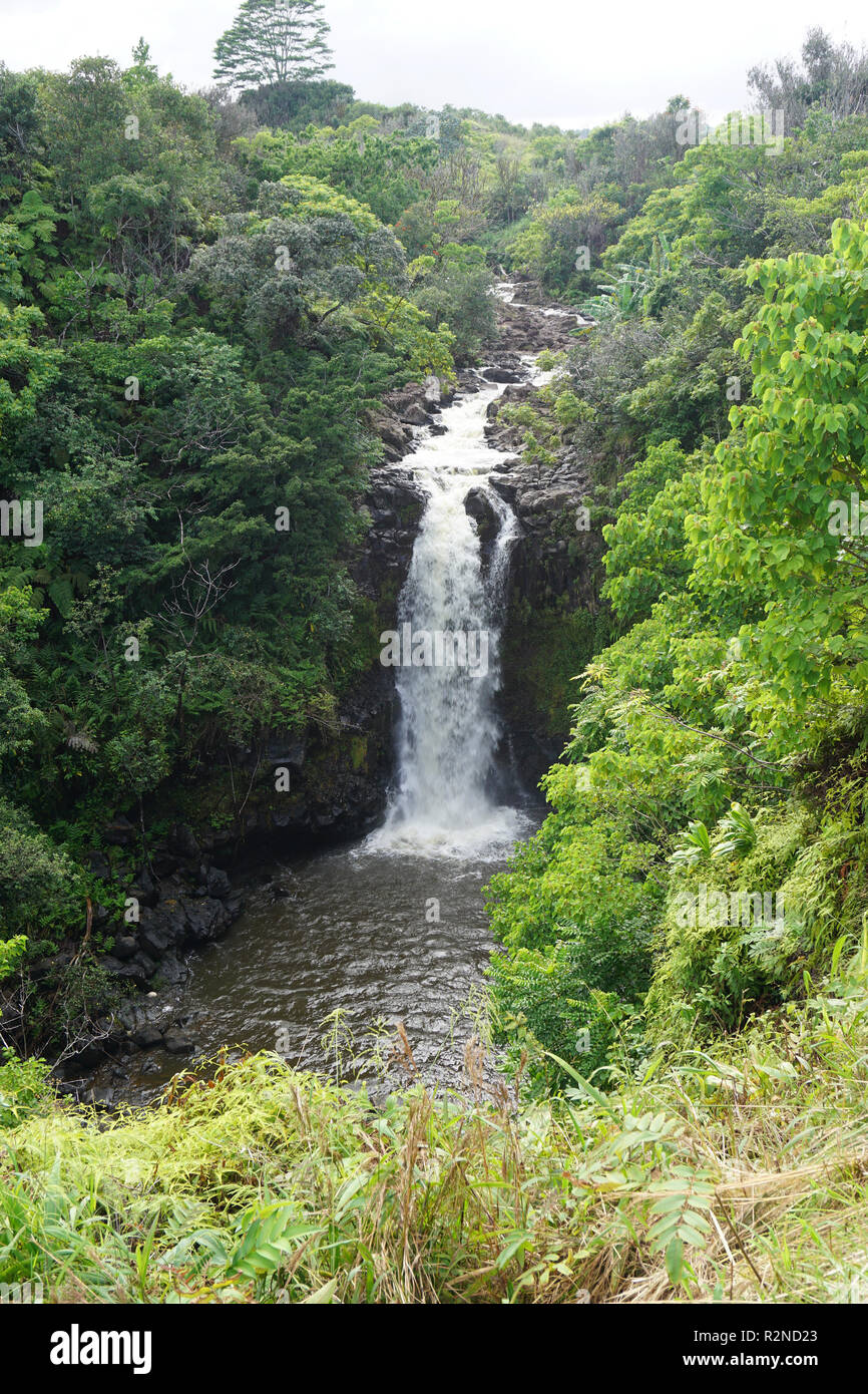 Le Kamaee tombe sur l'île d'Hawaii (Big Island) Banque D'Images