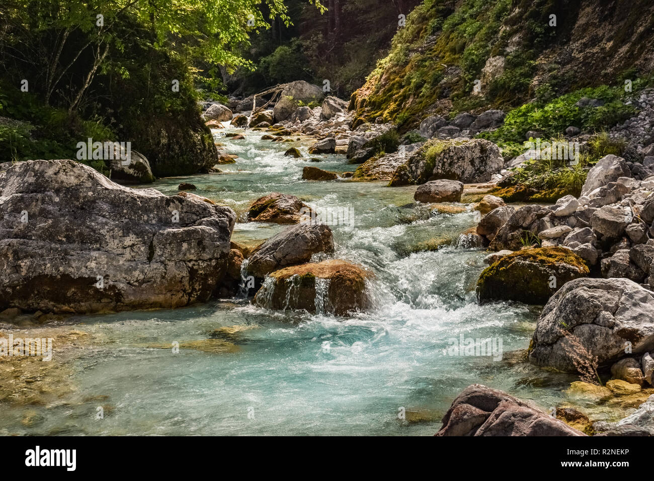 Les petites cascades dans une rivière dans le parc national du Triglav, en Slovénie Banque D'Images