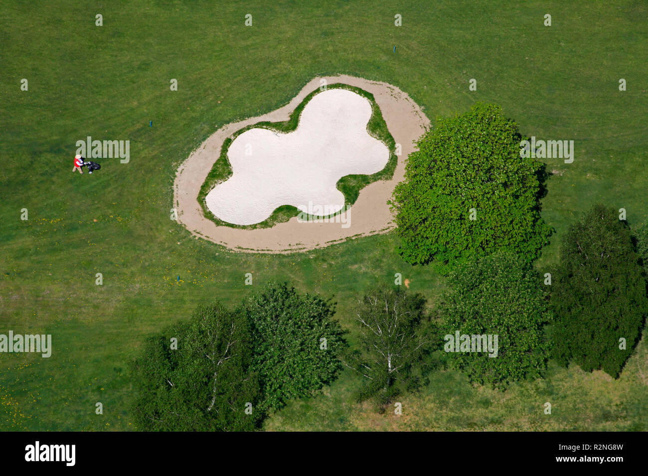 Vue aérienne, Terrain de Golf Essen Heidhausen, greens, bunkers, de prairies, de pelouses, de sports, de Golf, Essen, Ruhr, Rhénanie du Nord-Westphalie, Allemagne, Europe, Banque D'Images