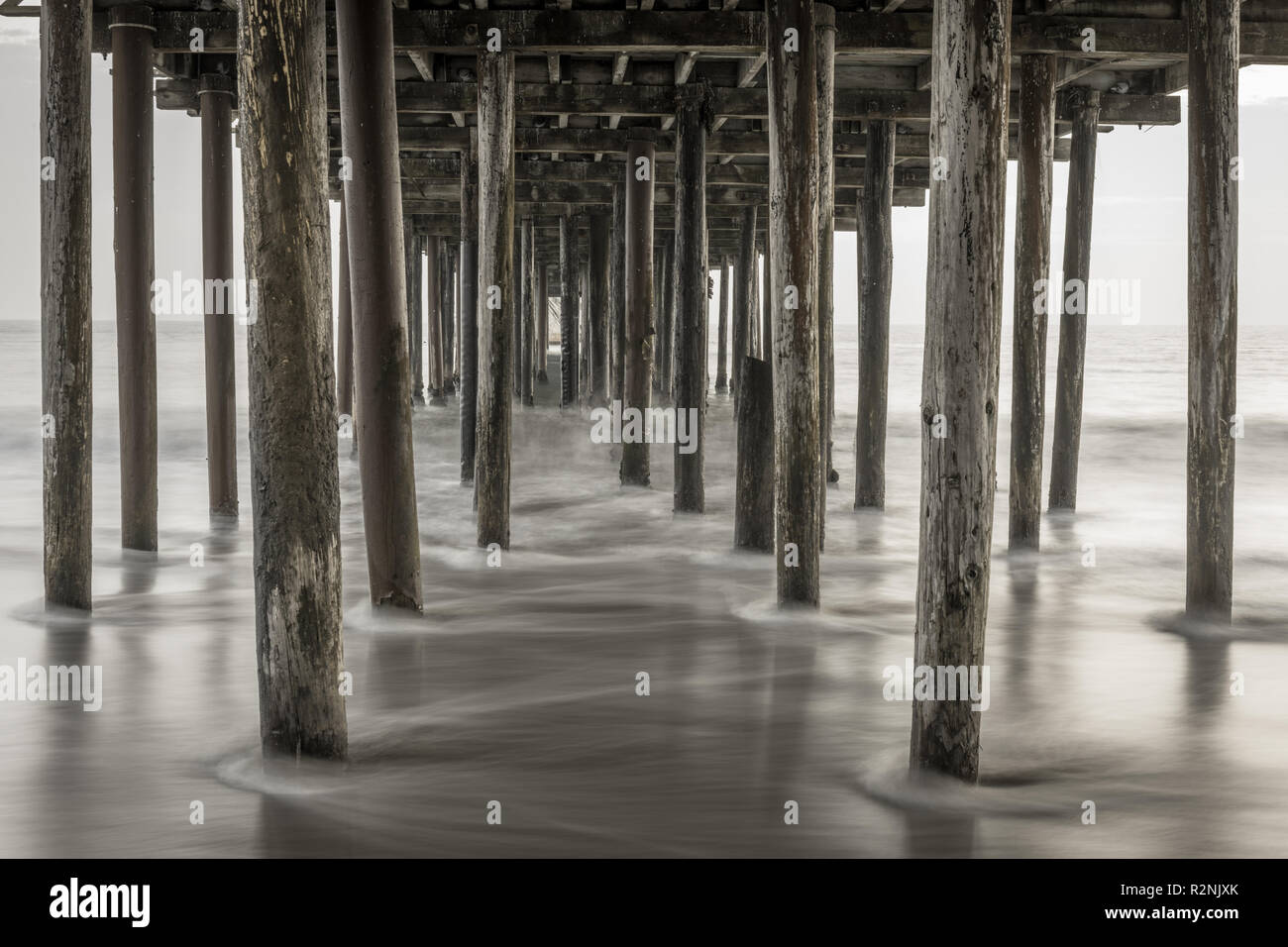 Les pigeons sous Gerpinnes quai de pêche. Banque D'Images