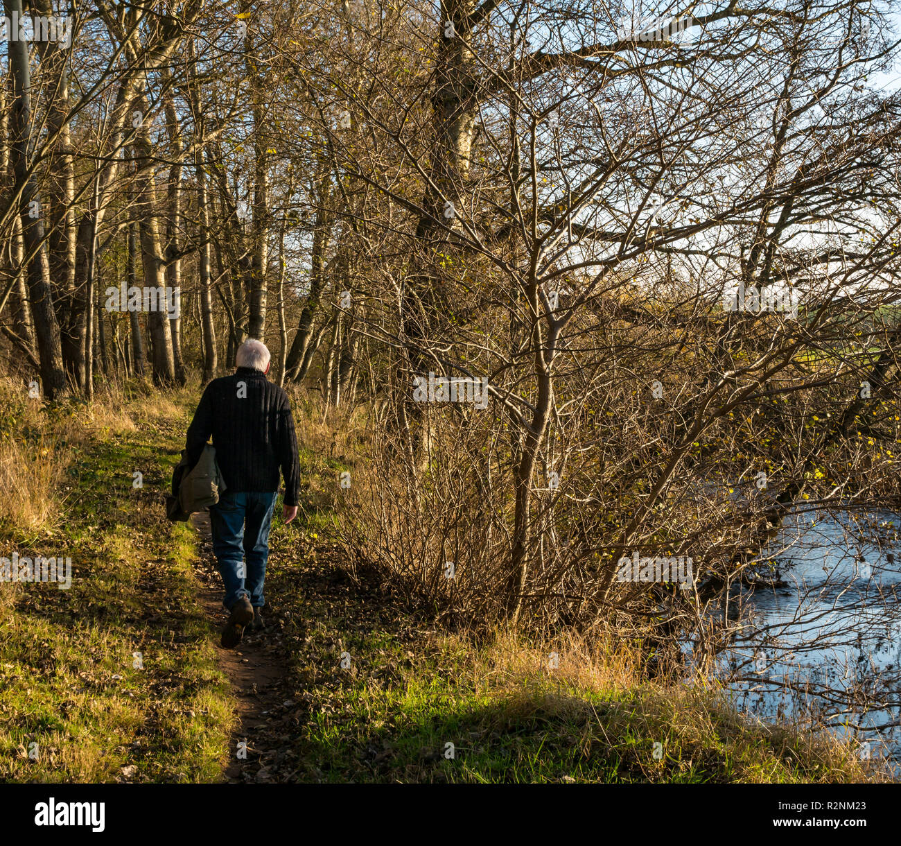 Vieil homme à marcher le long de la rivière Tyne sentier portant sur veste journée ensoleillée, East Lothian, Scotland, UK Banque D'Images