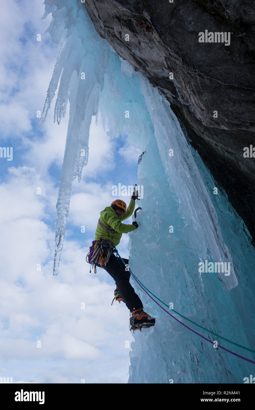 Grimpeur sur glace au "jardins suspendus", Alpes de Stubai, Tyrol, Autriche Banque D'Images