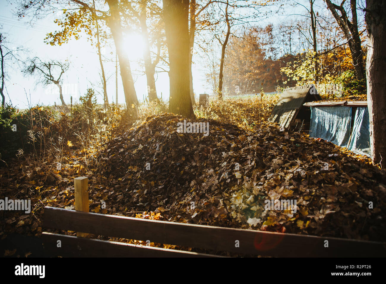 Photo de l'automne, soleil qui brille sur un tas de feuilles dans un jardin Banque D'Images