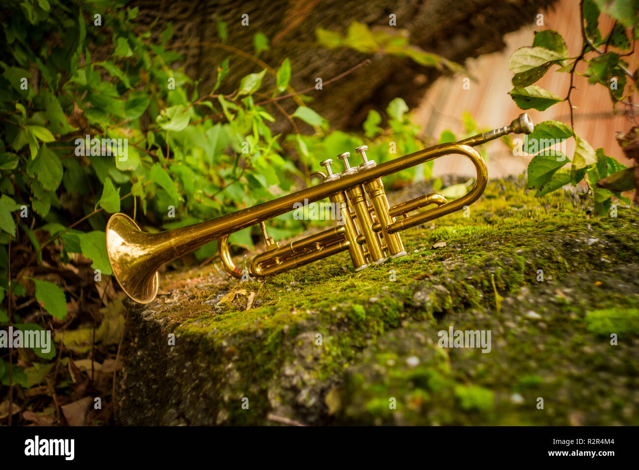 Instrument trompette jazz d'automne dans la nature seul Photo Stock - Alamy