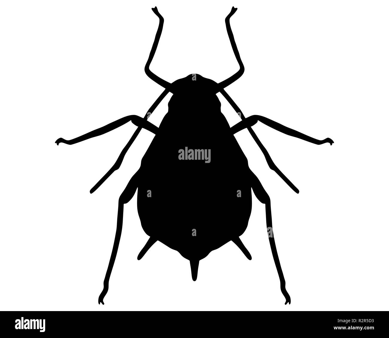 Silhouette de pucerons Banque D'Images