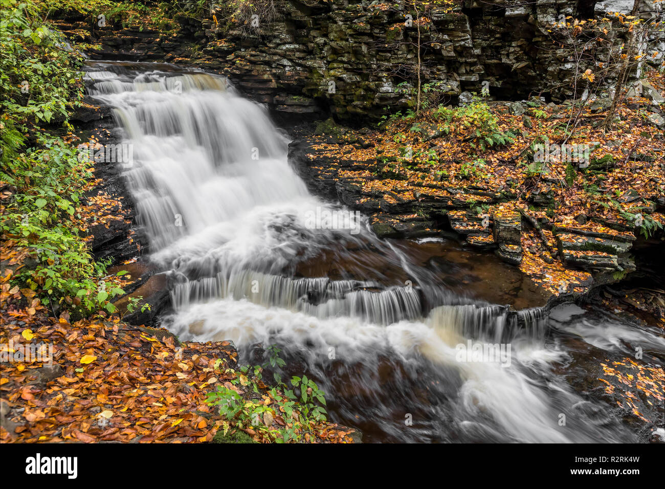 Chutes de Mohican, une belle cascade dans Ganoga Glen à New York's Ricketts Glen State Park, est entouré de feuillage automne coloré. Banque D'Images