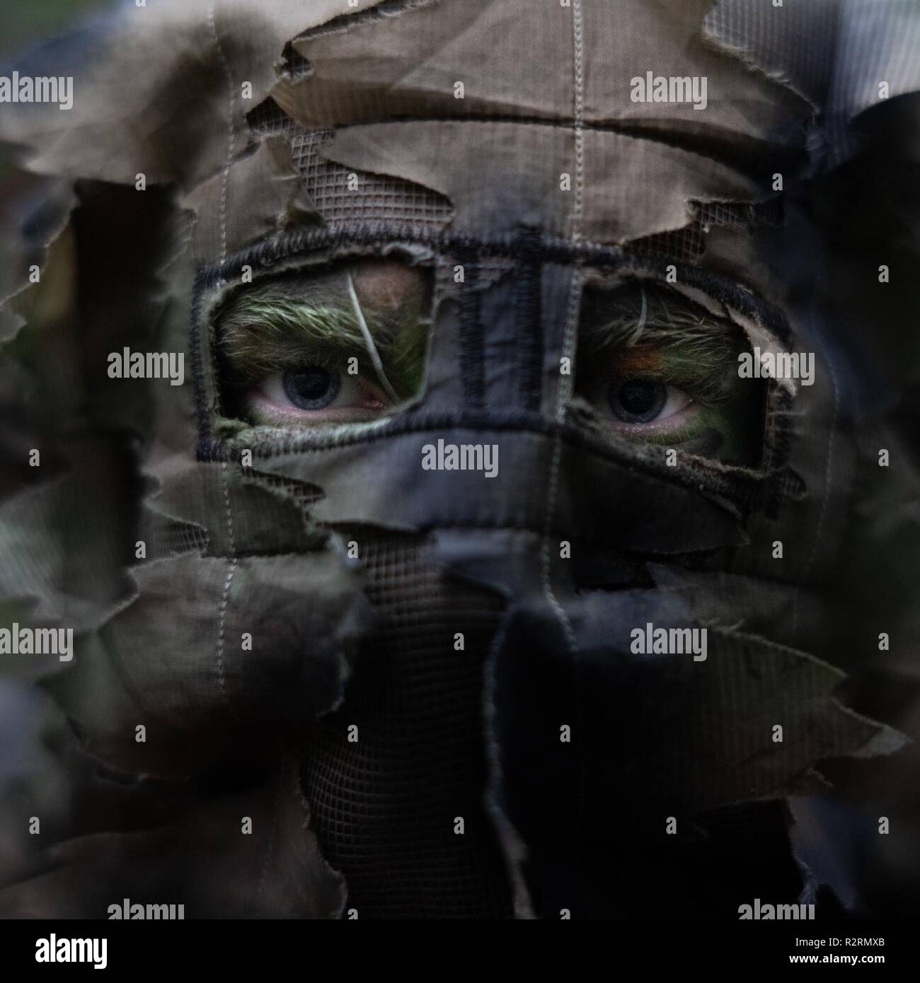 Un soldat avec les commandos de montagne française portant un masque "ghille" qui permet de cacher de lui dans les zones forestières. Les commandos étaient en Norvège au cours de l'exercice Trident Stade 2018, qui a réuni environ 50 000 soldats de 31 pays membres de l'OTAN et les pays partenaires. Banque D'Images