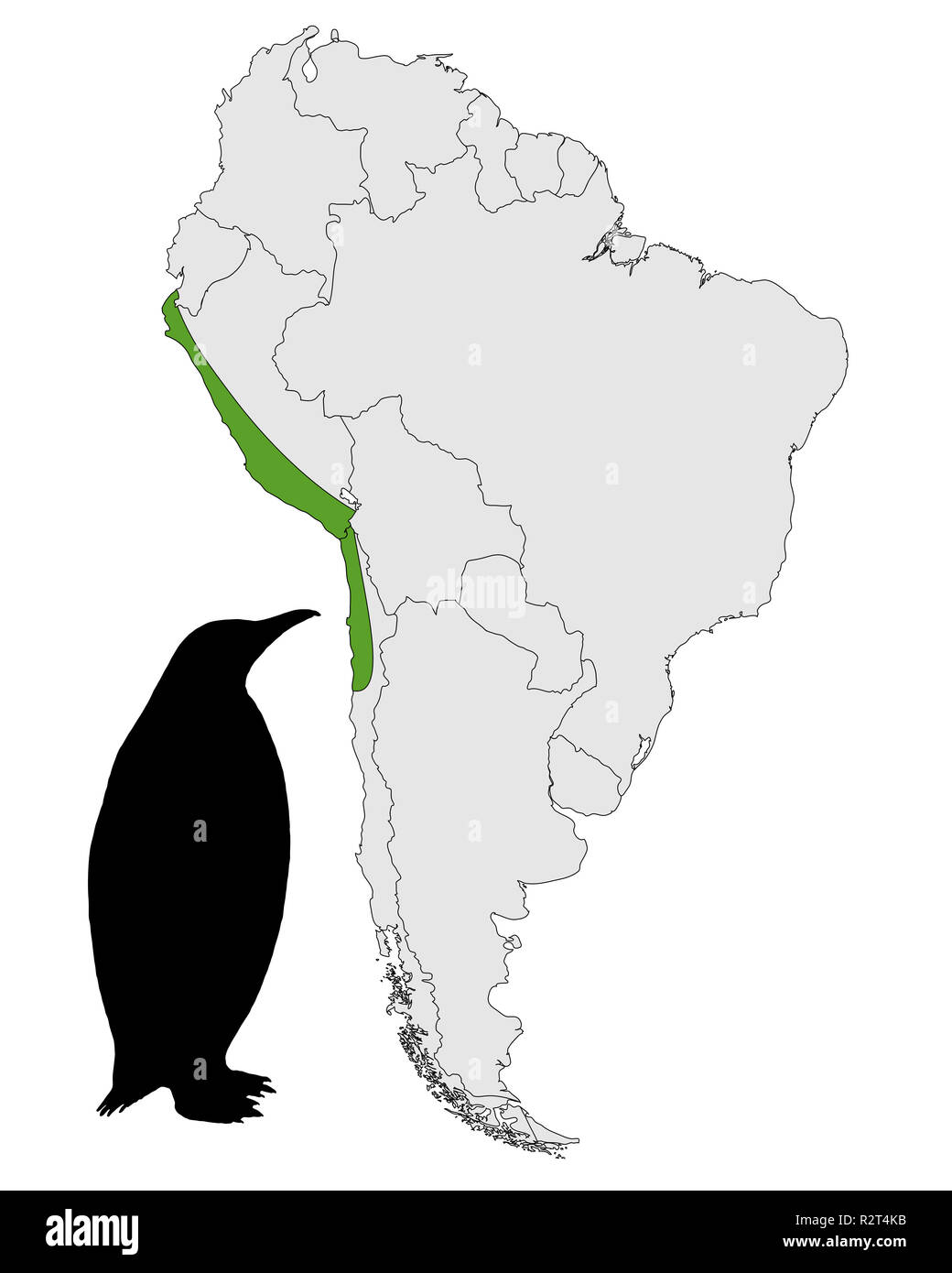 Carte de répartition de pingouins de Humboldt Banque D'Images
