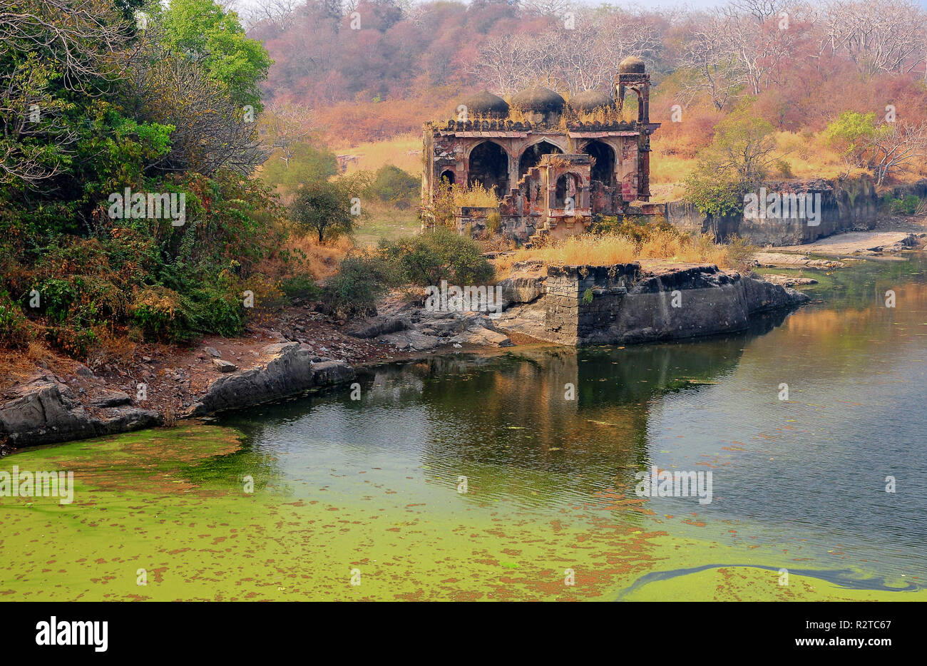 Lumière douce, les couleurs chaudes, magique scène au bord du lac. Les ruines de Badal Mahal ou le Palais des Nuages, Rani Kund Lake, Fort de Ranthambore, Rajasthan, Inde Banque D'Images Lumière douce, les couleurs chaudes, magique scène au bord du lac. Les ruines de Badal Mahal ou le Palais des Nuages, Rani Kund Lake, Fort de Ranthambore, Rajasthan, Inde Banque D'Images
