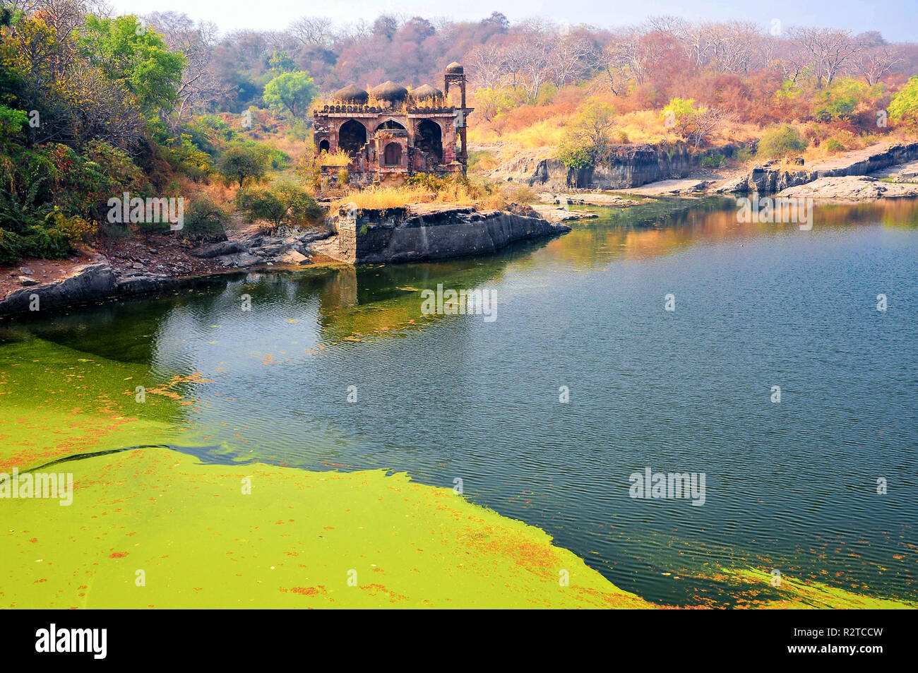 Lumière douce, les couleurs chaudes, magique scène au bord du lac. Les ruines de Badal Mahal ou le Palais des Nuages, Rani Kund Lake, Fort de Ranthambore, Rajasthan, Inde Banque D'Images