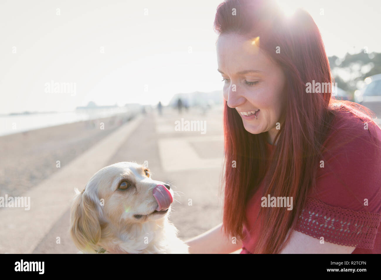 Femme avec chien mignon sur sunny beach boardwalk Banque D'Images