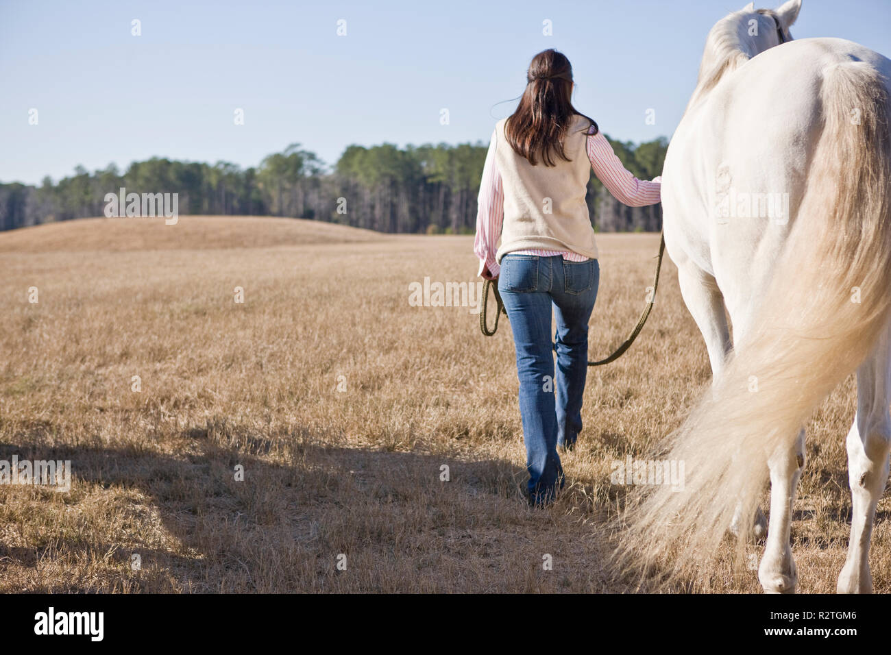 Jeune femme conduisant son cheval dans un champ Banque D'Images