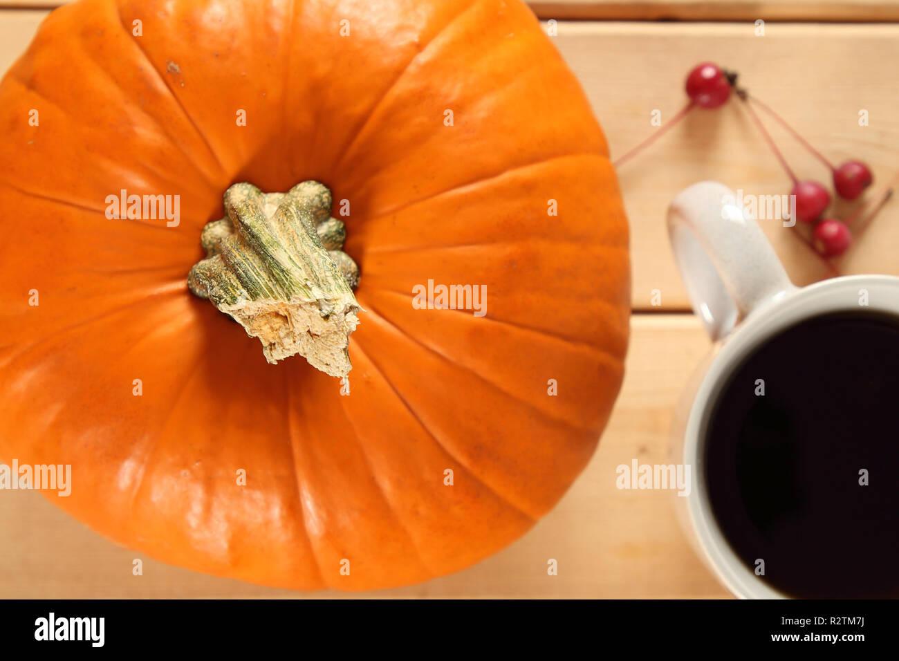 Pumpkin sur une table, selective focus Banque D'Images