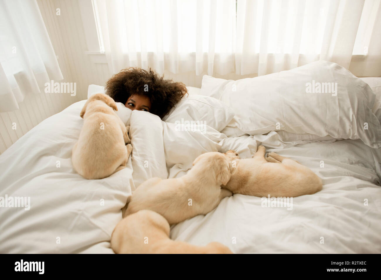 Femme couchée dans le lit avec les chiots. Banque D'Images