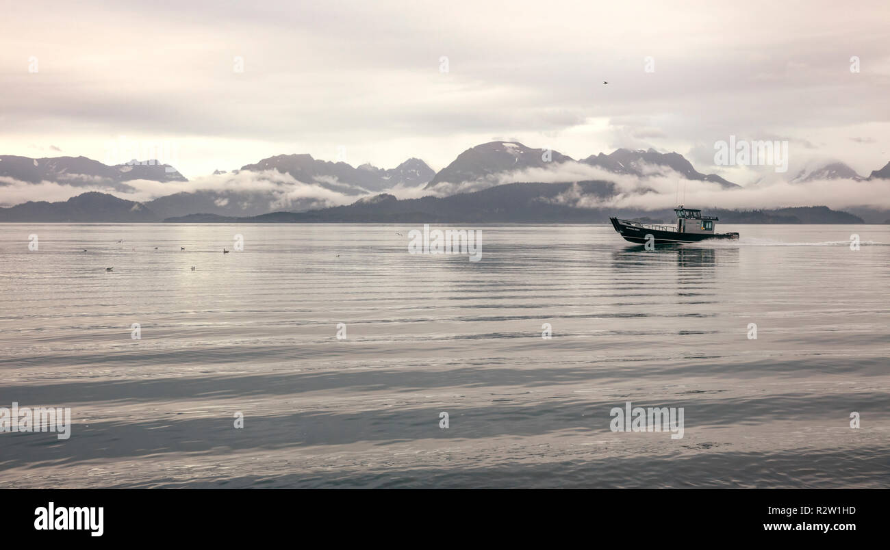 Homer, AK - Aug 23, 2018 : une vue de la baie Kachemak Spit de Homer, Alaska Banque D'Images