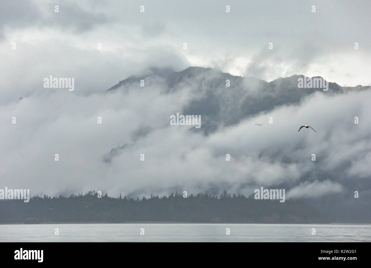 Une vue de la baie Kachemak State Park de Homer Spit, Alaska Banque D'Images
