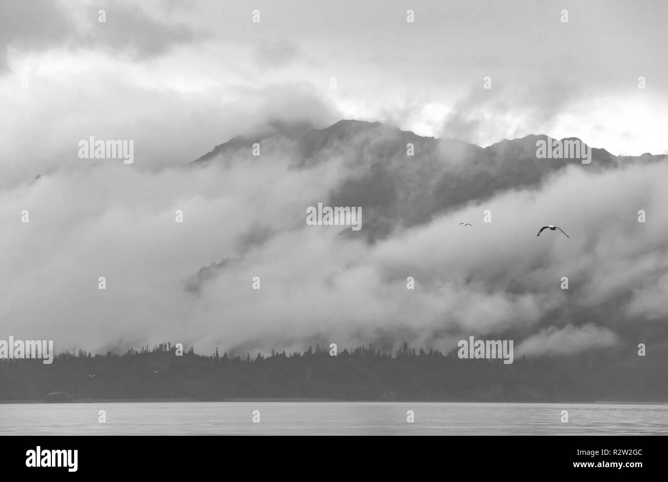 Une vue de la baie Kachemak State Park de Homer Spit, Alaska Banque D'Images