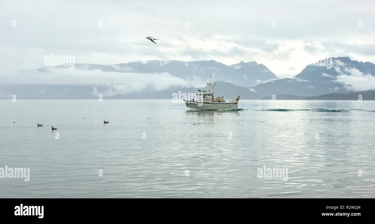 Homer, AK - Aug 23, 2018 : une vue de la baie Kachemak Spit de Homer, Alaska Banque D'Images