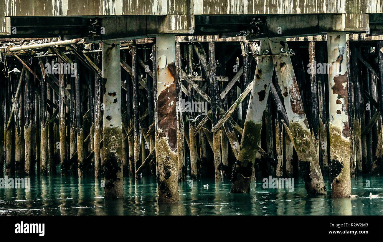 Une vue d'une structure d'accueil à Homer Spit fin, en Alaska. Les piliers sont recouverts de balane. Banque D'Images