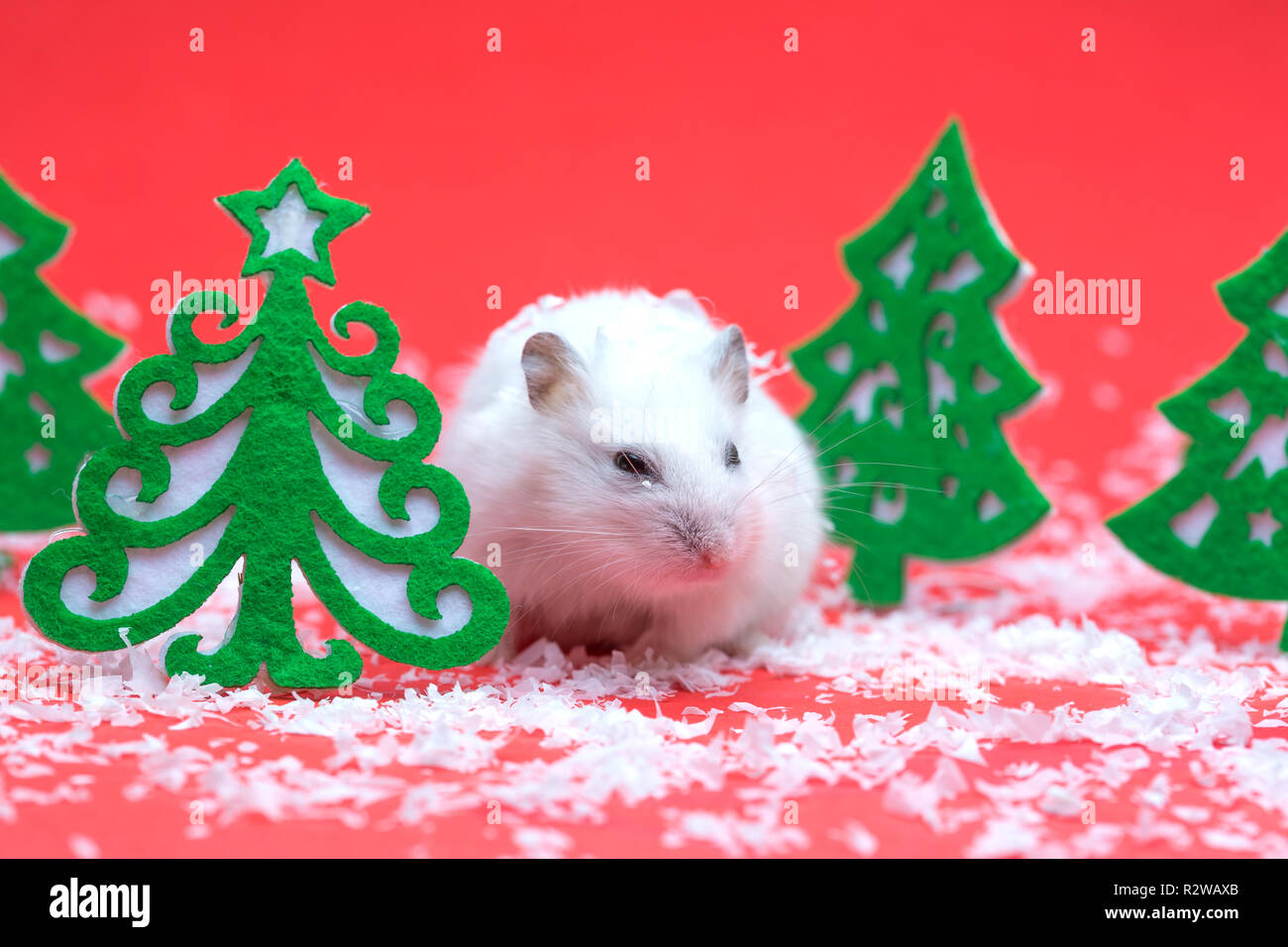 Cute hamster sur fond rouge avec l'arbre de Noël Banque D'Images