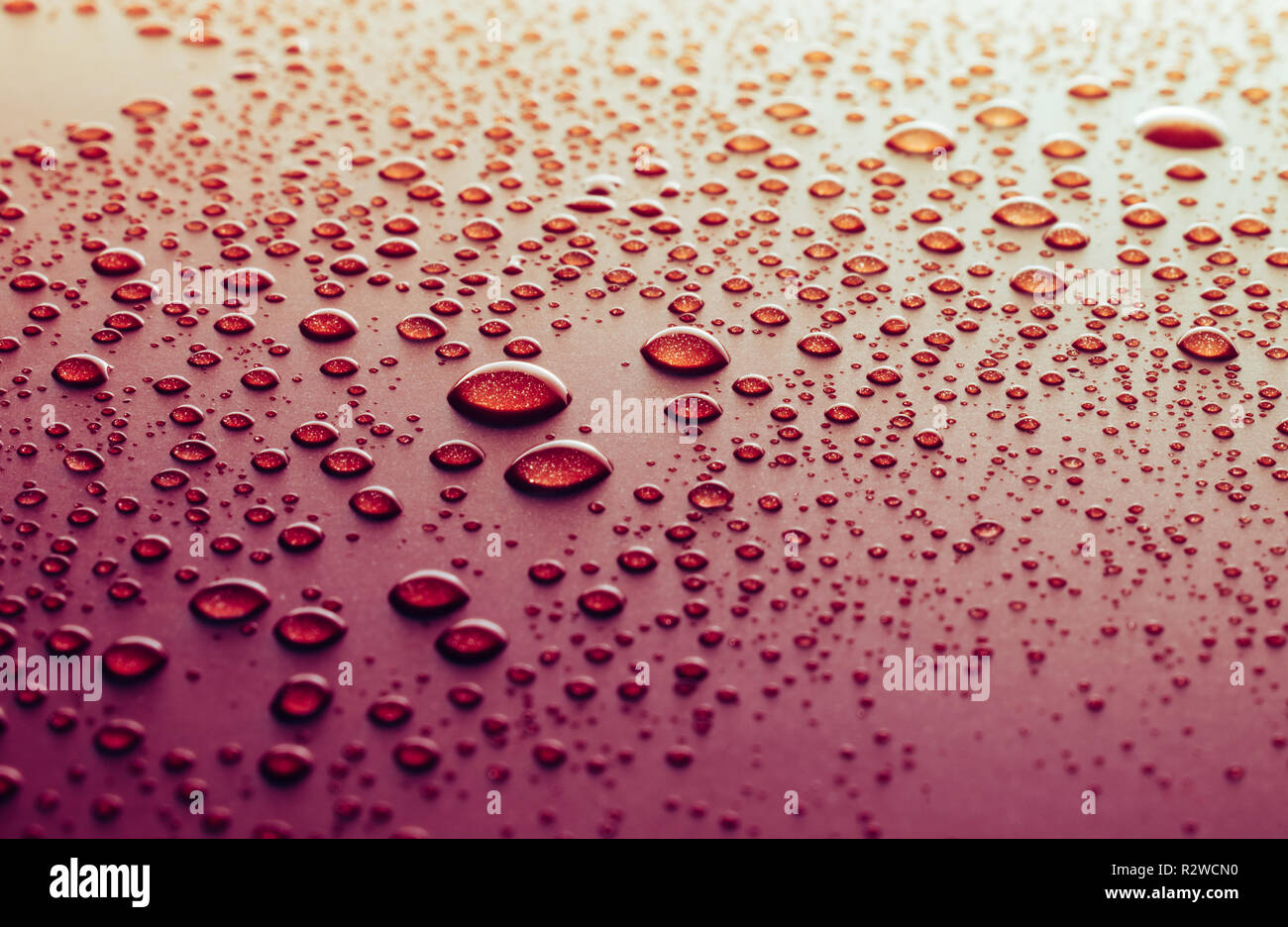 Gouttes d'eau sur un fond rouge Banque D'Images