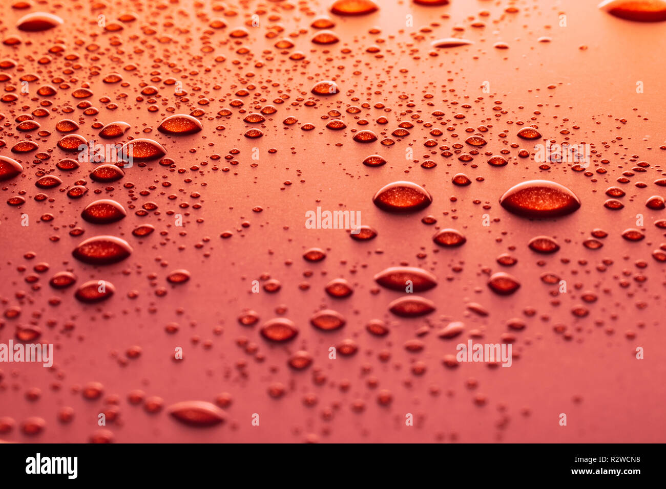 Gouttes d'eau sur un fond rouge Banque D'Images