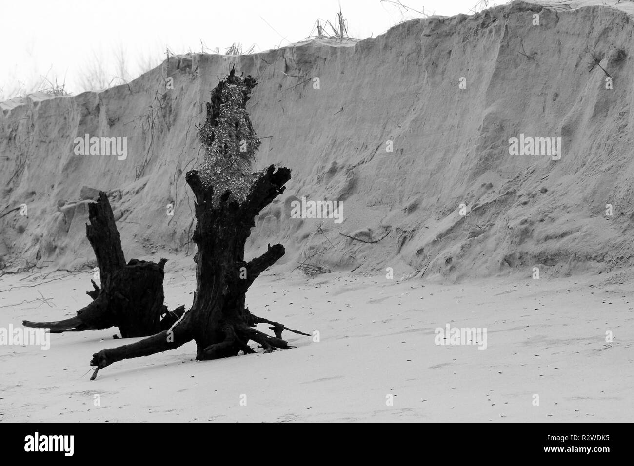Côte de sable après la tempête. une photo Banque D'Images