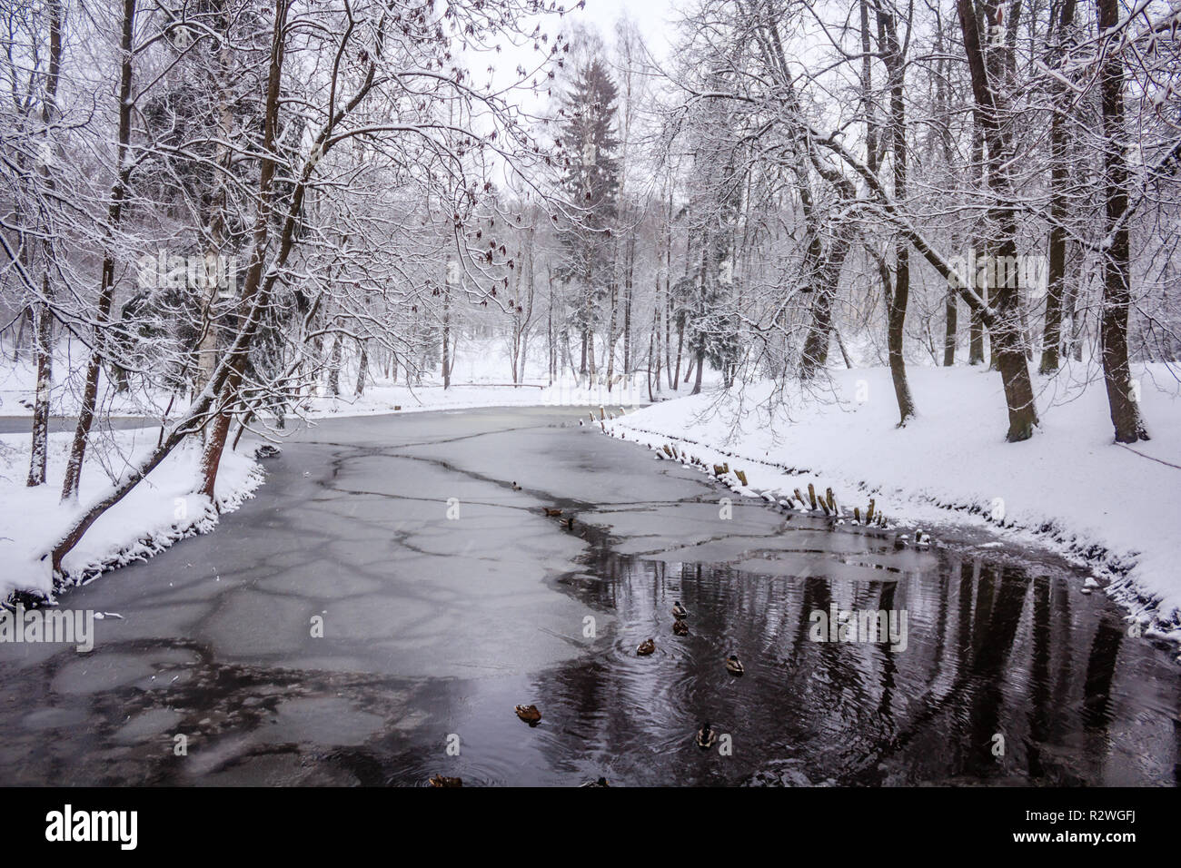 Winter Park paysage avec une rivière. Des paysages russes. Saison d'hiver, saison froide. La neige photo Banque D'Images