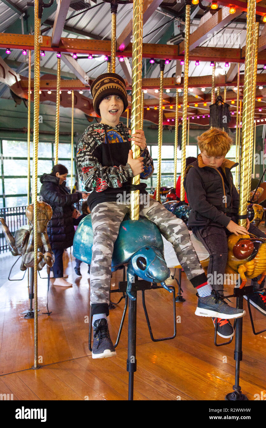Neuf ans équitation le bug carousel au zoo du Bronx, New York, États-Unis d'Amérique. Banque D'Images