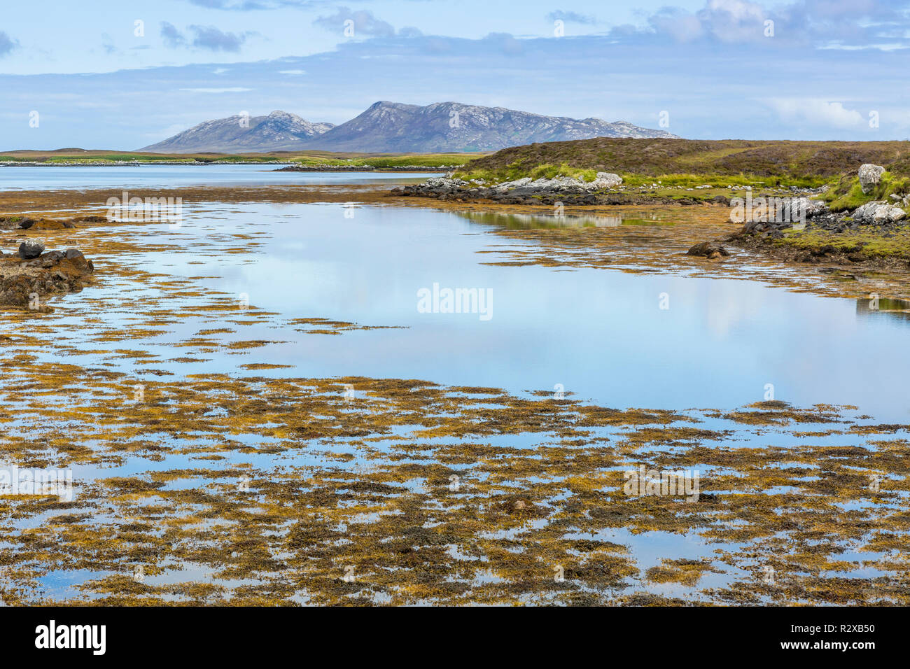 Seascape écossais avec des algues et montagnes, North Uist, îles Hébrides, Ecosse, Royaume-Uni Banque D'Images