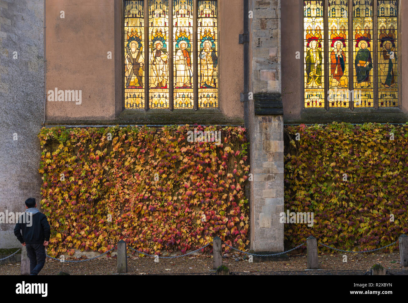 Trinity College chapelle façade aux couleurs de l'automne. L'Université de Cambridge, Angleterre. UK Banque D'Images